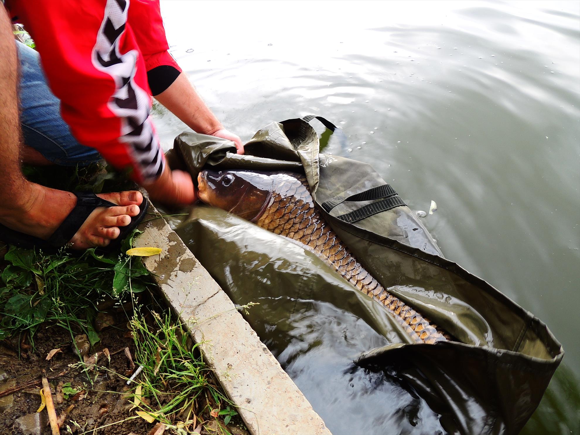 Tancabesti 14 - 16 iunie 2015 - dscn6817.JPG